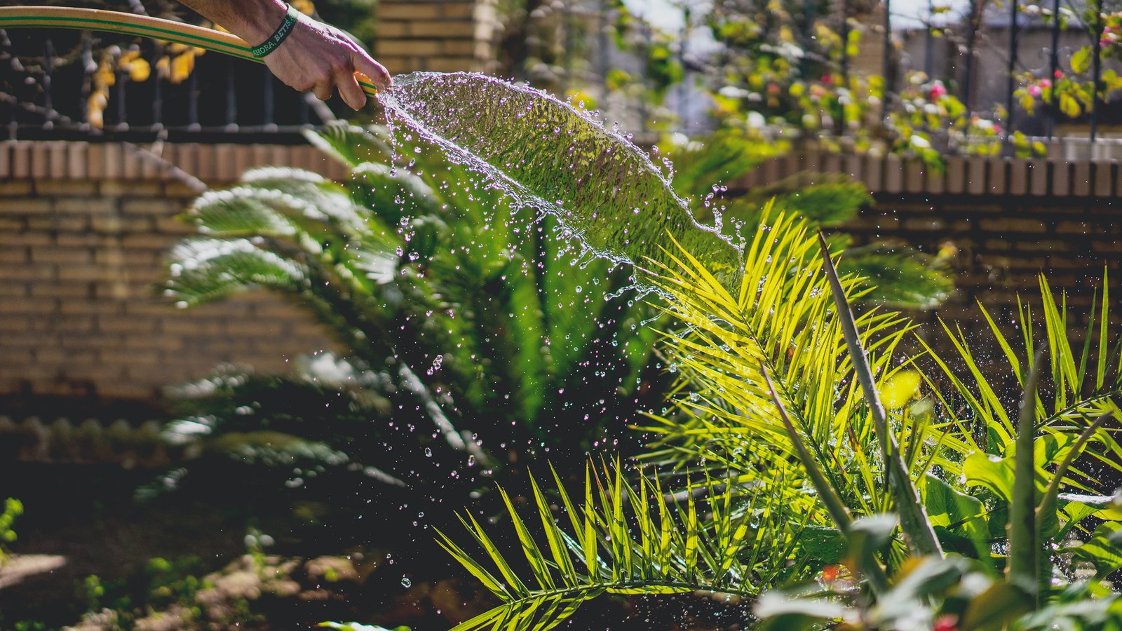 Bewässerung - AB Gartengestaltung